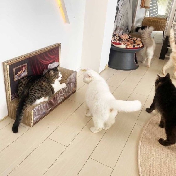 Японский бренд Felissimo выпускает люксовые когтеточки-лежанки в форме кровати с картиной (3 фото)