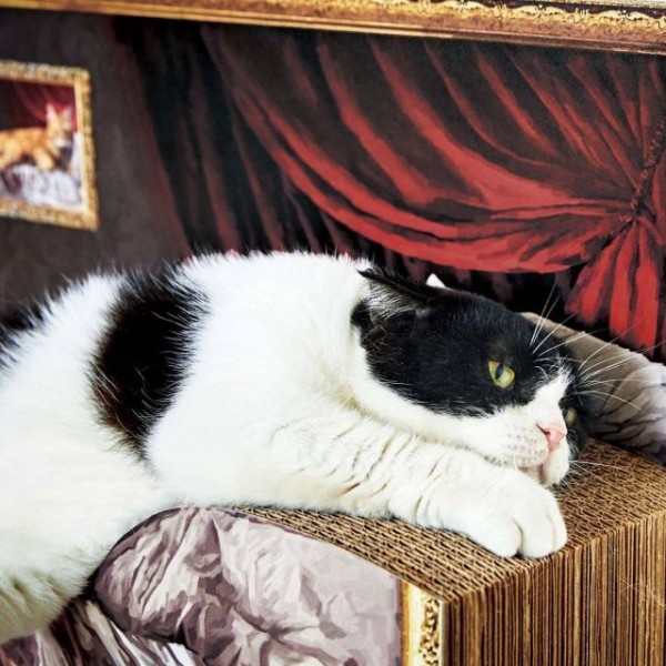 Японский бренд Felissimo выпускает люксовые когтеточки-лежанки в форме кровати с картиной (3 фото)