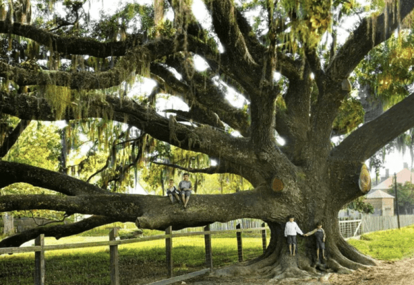 Фотографии из прошлого, которые заставляют удивится