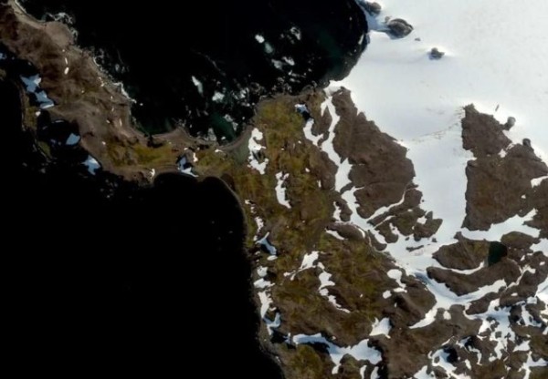 Антарктида начала зеленеть (3 фото) Антарктида начала зеленеть (3 фото)