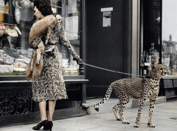 Фотографии из прошлого, которые заставляют удивится