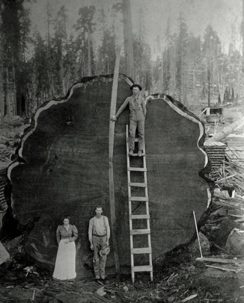 Фотографии из прошлого, которые заставляют удивится