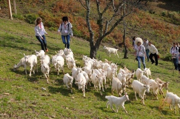 7 мест в Сочи в 2023 году — что посмотреть самостоятельно 7 мест в Сочи в 2023 году — что посмотреть самостоятельно