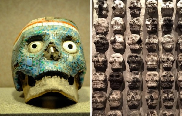 От смешного до страшного: самые странные коллекции мира