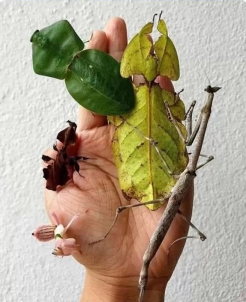 20 фотографий, который расскажут вам удивительные истории