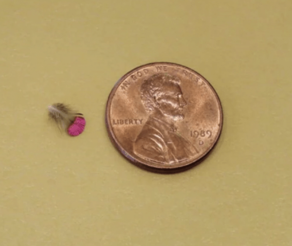 Редкие исторические фото и интересные факты, рассказывающие нам о мире Редкие исторические фото и интересные факты, рассказывающие нам о мире