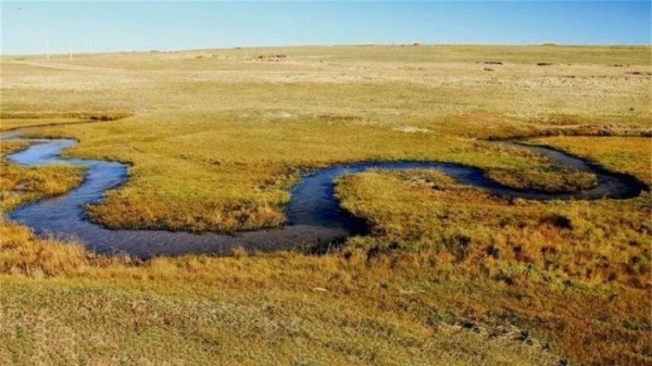 Самая узкая река планеты — 4 сантиметра в ширину Самая узкая река планеты — 4 сантиметра в ширину