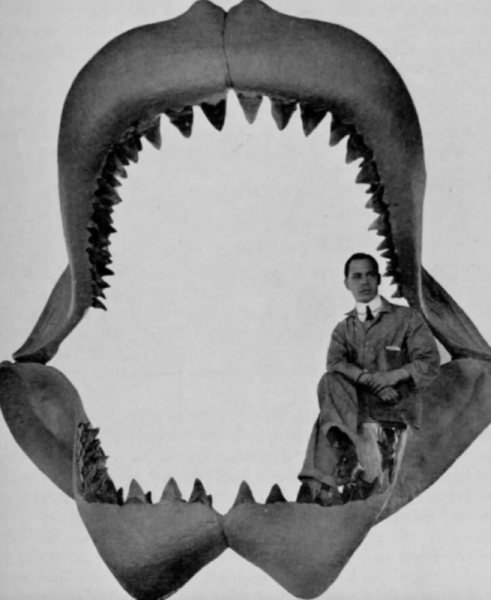 Редкие исторические фото и интересные факты, рассказывающие нам о мире Редкие исторические фото и интересные факты, рассказывающие нам о мире