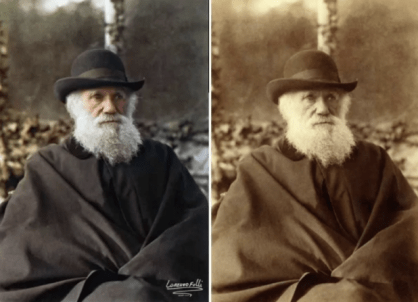 Редкие исторические фото и интересные факты, рассказывающие нам о мире Редкие исторические фото и интересные факты, рассказывающие нам о мире