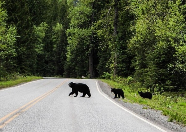 mestnye-deljatsja-tem-kakie-vyhodki-turistov-osobenno-vybesili-ih-b457a8a