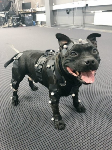 Увлекательные вещи, про которые наверняка все слышали, но видели немногие