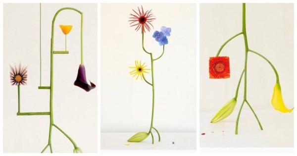 Забавные и необычные примеры современного искусства