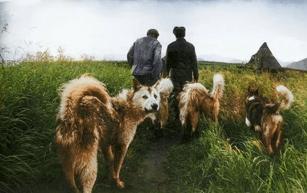 Воспоминания из СССР: уникальная подборка фотографий