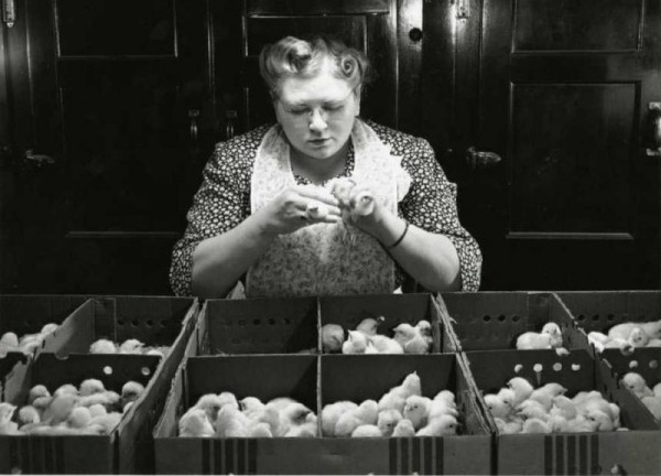 5 странных профессий, за которые платят очень даже реальные деньги 5 странных профессий, за которые платят очень даже реальные деньги