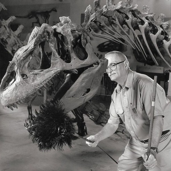 5 странных профессий, за которые платят очень даже реальные деньги 5 странных профессий, за которые платят очень даже реальные деньги