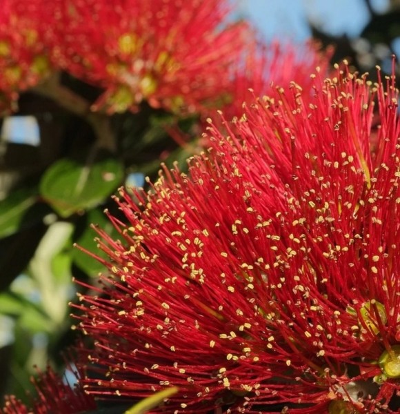 Страны, чьи новогодние традиции так оригинальны, что у неместных аж глаза на лоб лезут