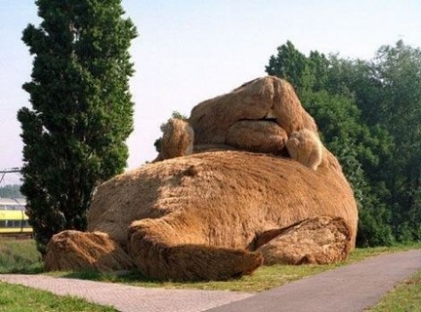 Памятники животным (13 скульптур)