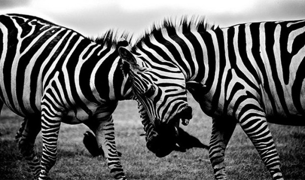 15 лучших фактов о телевидении