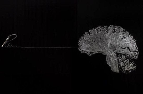 Парень из Китая установил очень странный рекорд Гиннеса (2 фото) Парень из Китая установил очень странный рекорд Гиннеса (2 фото)