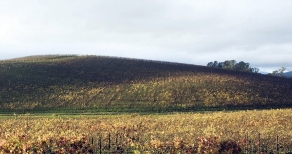 Знаменитые фотографии, за которыми стоят целые истории Знаменитые фотографии, за которыми стоят целые истории