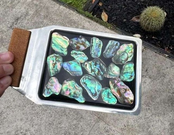 15 предметов, разгаданных с помощью знатоков из Интернета