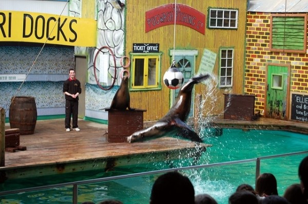 Достопримечательности Ливерпуля: Топ-26 мест (ФОТО)