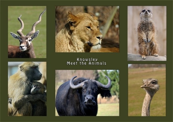 Достопримечательности Ливерпуля: Топ-26 мест (ФОТО)