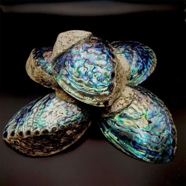 15 предметов, разгаданных с помощью знатоков из Интернета