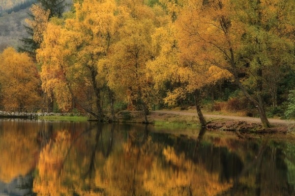 Параллельные миры Роджера Меррифилда Параллельные миры Роджера Меррифилда