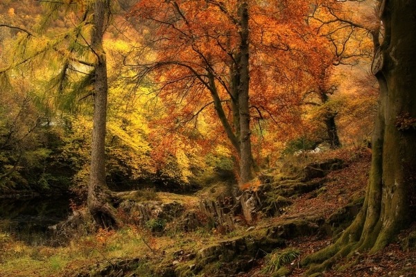 Параллельные миры Роджера Меррифилда Параллельные миры Роджера Меррифилда