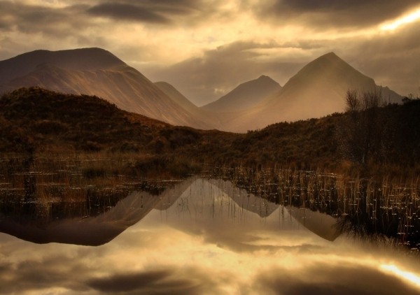 Параллельные миры Роджера Меррифилда Параллельные миры Роджера Меррифилда