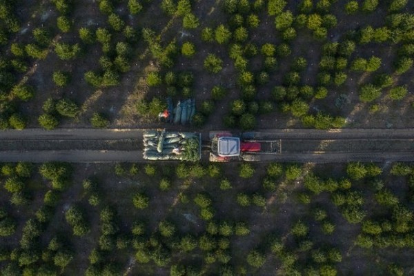 20 головокружительных видов с высоты 20 головокружительных видов с высоты