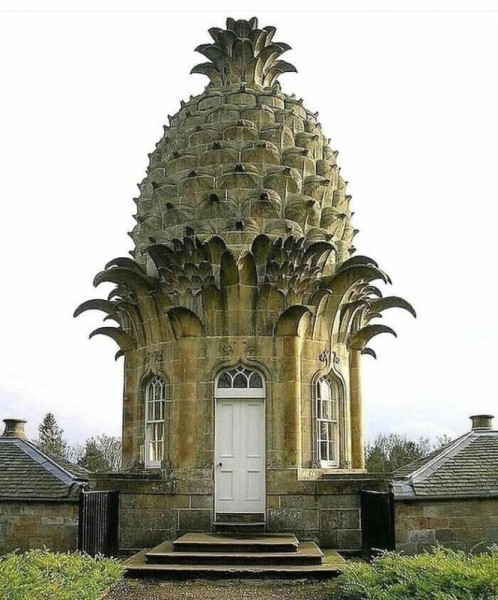 Находки, которые попались путешественникам