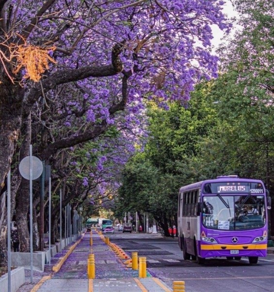 Потрясающие изображения, которые демонстрируют чудеса со всего света Потрясающие изображения, которые демонстрируют чудеса со всего света