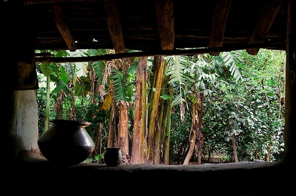 41 потрясающе атмосферное фото Индии 41 потрясающе атмосферное фото Индии