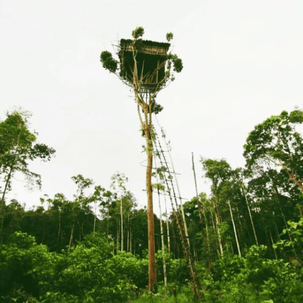 Подборка странных и экстремальных домов из разных стран мира (12 фото) Подборка странных и экстремальных домов из разных стран мира (12 фото)