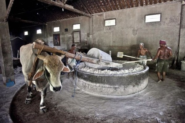 О том в каких условиях изготавливают лапшу в Индонезии