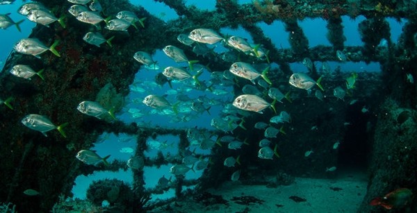 6 живописных кладбищ затонувших кораблей 6 живописных кладбищ затонувших кораблей