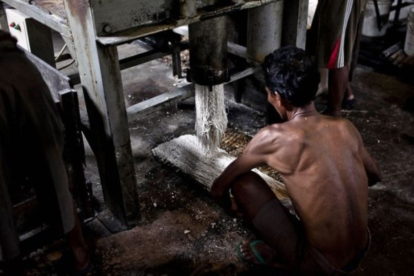 О том в каких условиях изготавливают лапшу в Индонезии