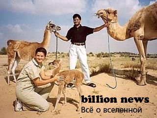 10 гибридов животных (17 фото)