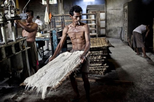 О том в каких условиях изготавливают лапшу в Индонезии