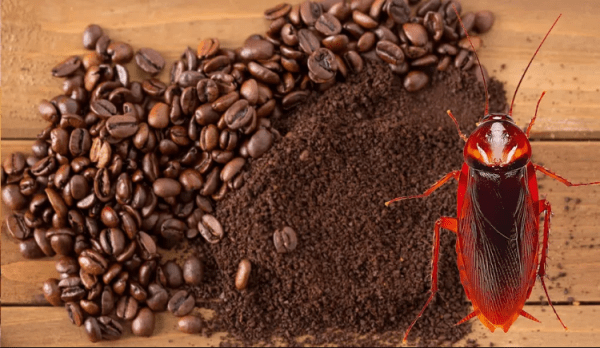 Пугающие факты об окружающем мире, от которых становится не по себе Пугающие факты об окружающем мире, от которых становится не по себе