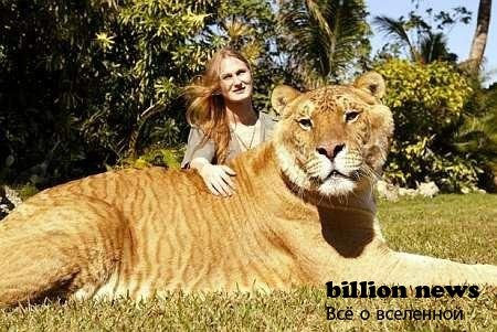 10 гибридов животных (17 фото)