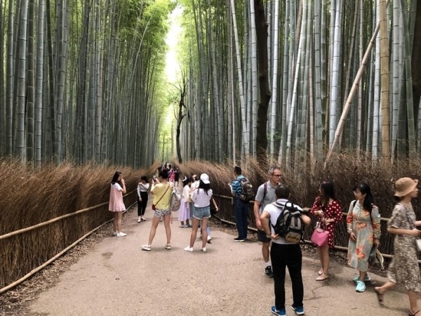 Потрясающие изображения, которые демонстрируют чудеса со всего света Потрясающие изображения, которые демонстрируют чудеса со всего света