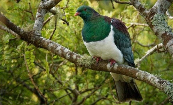 10 интересных фактов об употреблении алкоголя 10 интересных фактов об употреблении алкоголя