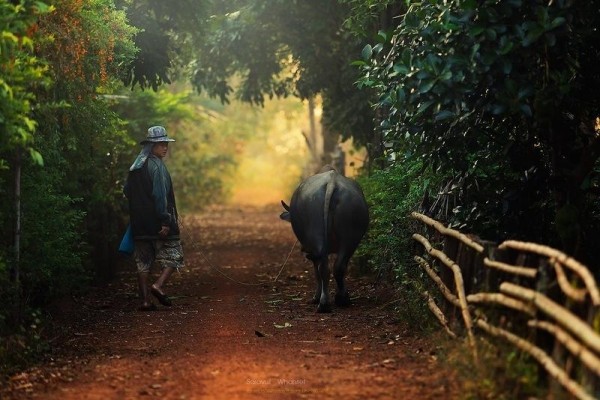 Сказочно красивый Таиланд в фотографиях Саравута Вансета Сказочно красивый Таиланд в фотографиях Саравута Вансета