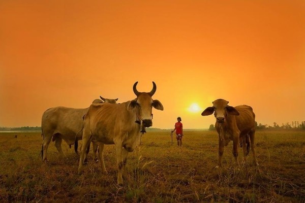 Сказочно красивый Таиланд в фотографиях Саравута Вансета Сказочно красивый Таиланд в фотографиях Саравута Вансета