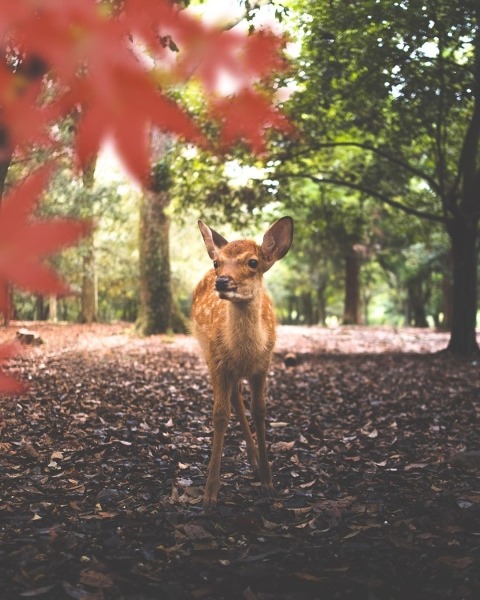 Замечательные фотографии из путешествий Альваро Валиенте Замечательные фотографии из путешествий Альваро Валиенте