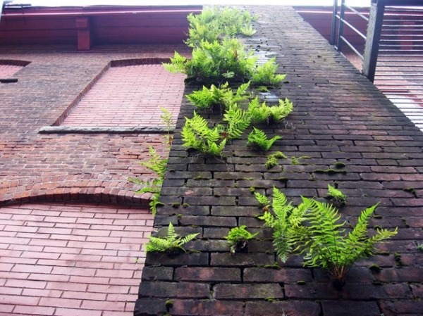 Безграничная сила природы (25 фото) Безграничная сила природы (25 фото)