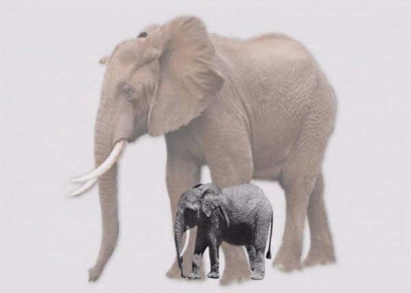 Как в античной мифологии появились циклопы, и причем здесь слоны и пони